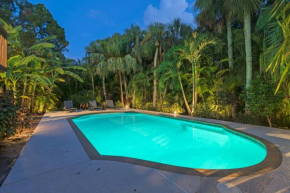 Palm Paradise - 156